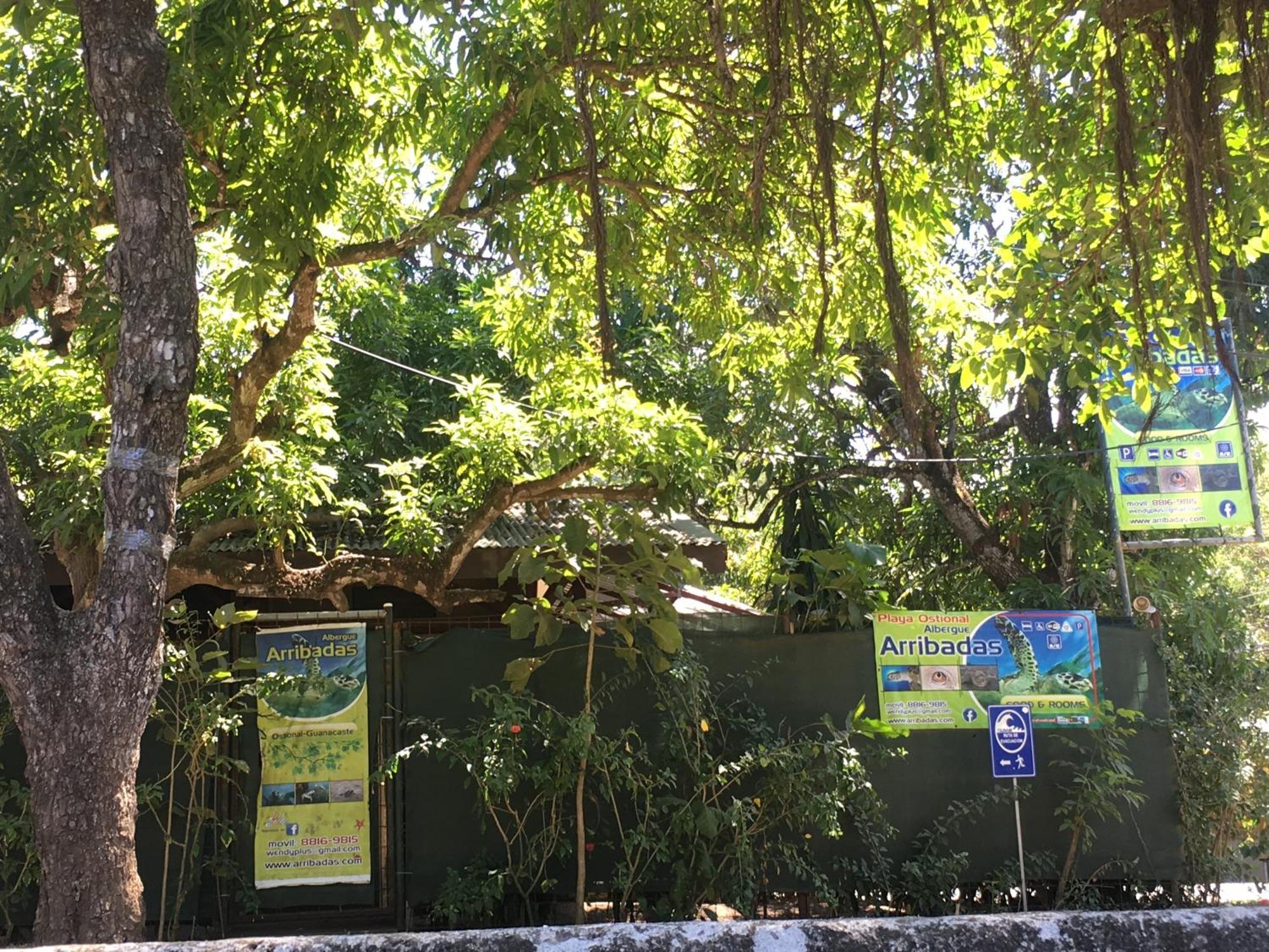 Cabinas Surf Arribadas Ostional Wildlife Refuge Exterior foto