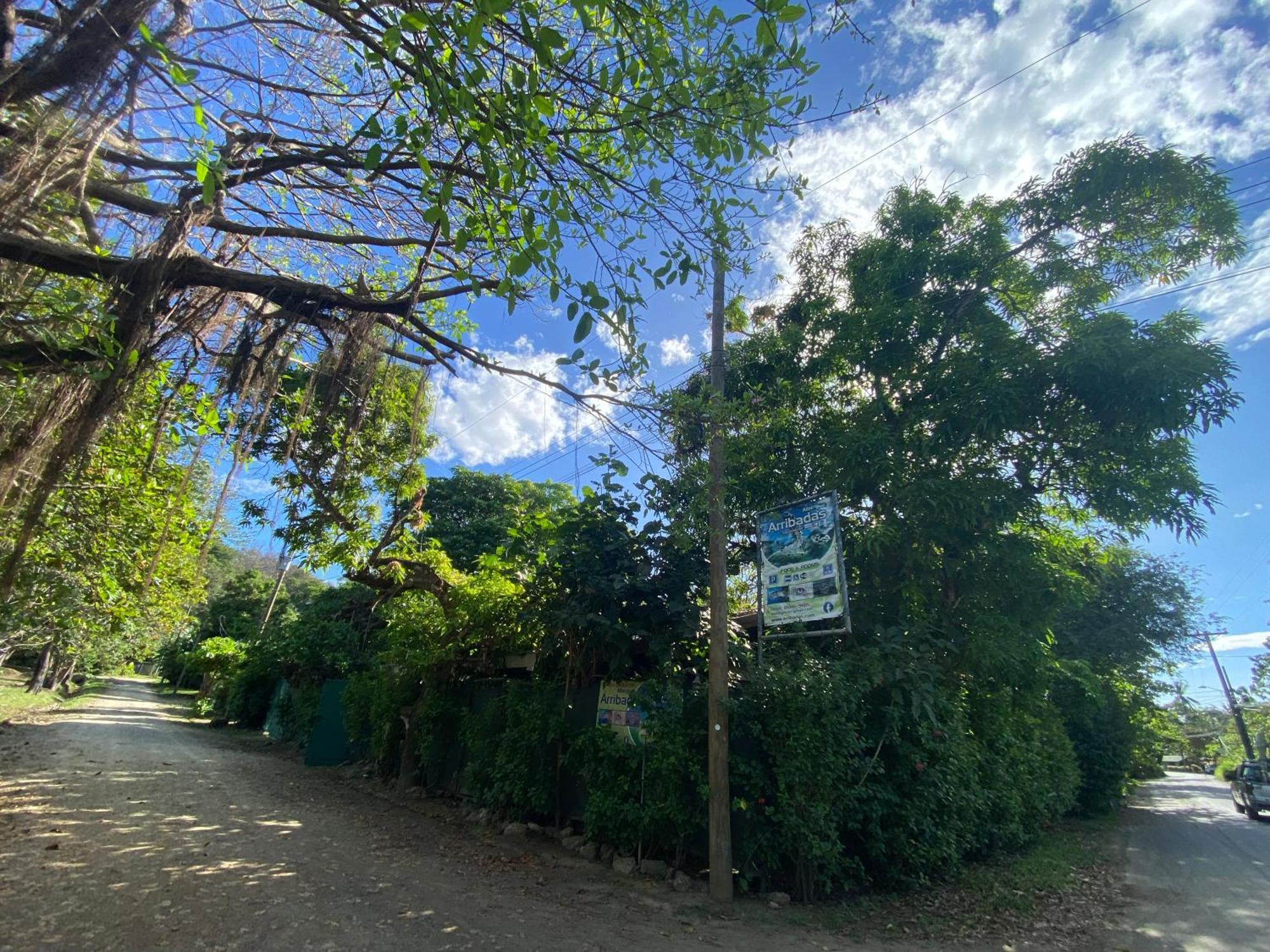 Cabinas Surf Arribadas Ostional Wildlife Refuge Exterior foto